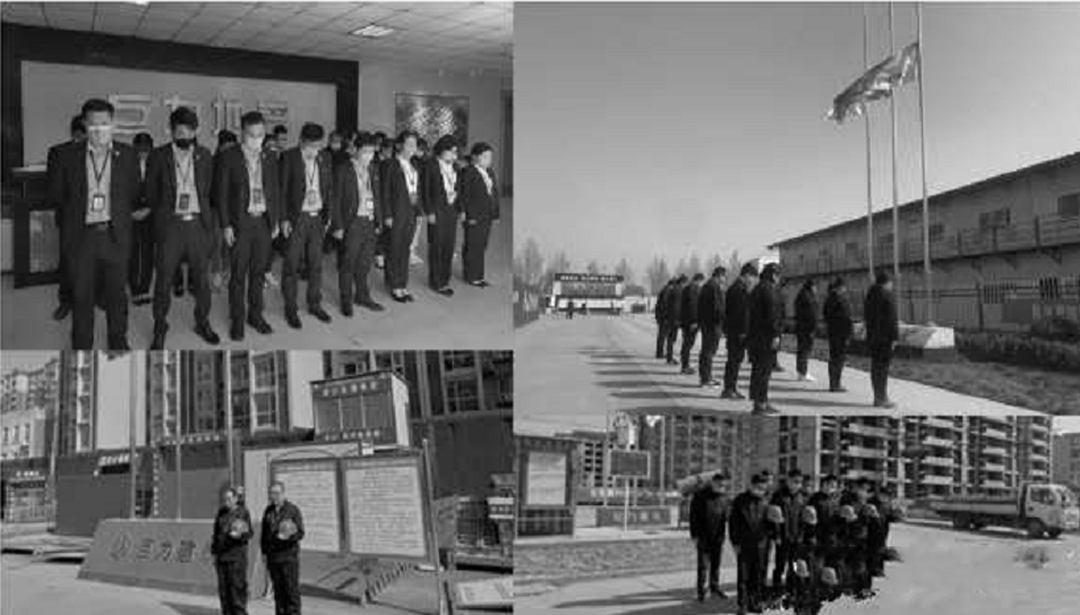 8868体育官网登录入口