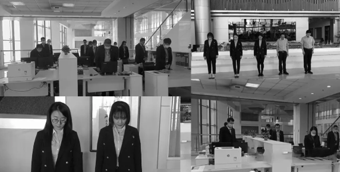 8868体育官网登录入口