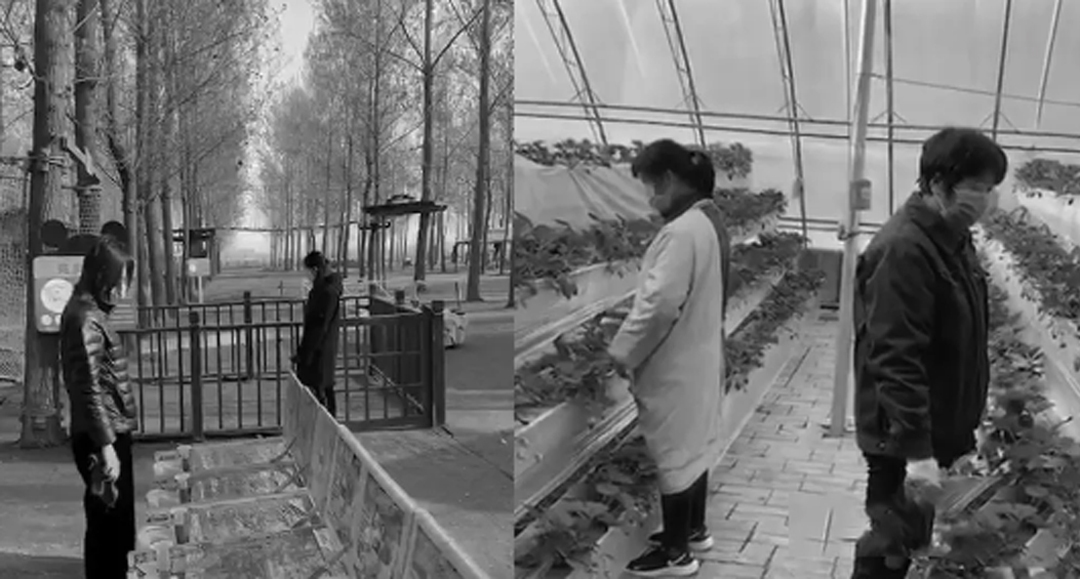 8868体育官网登录入口